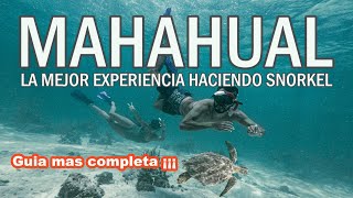 MAHAHUAL, Quintana Roo, Barrera de Arrecifes, Snorkel, !La mejor guía de que hacer y donde comer¡