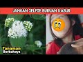 Jadi Ngeri! Jika Kalian Melihat 7 Tanaman Ini, Ngacir Secepat Mungkin Jangan Selfie!