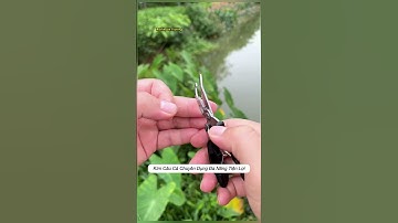 Kìm câu cá đa năng chuyên dụng nhỏ gọn tiện lợi #cauca #fishing #shorts
