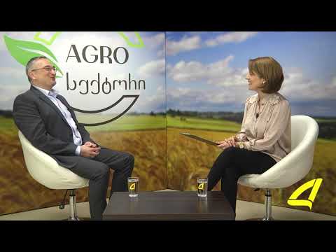 დეკანი AGROსექტორი 2