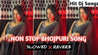 Non Stop Bhojpuri Slowed Reverb Song  Non Stop Bhojpuri Song  Bhojpuri Song Mashup  New Lofi Song