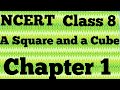 A square and a cube || Class 8 Ganitha Prakash chapter1 Page 10 solutions