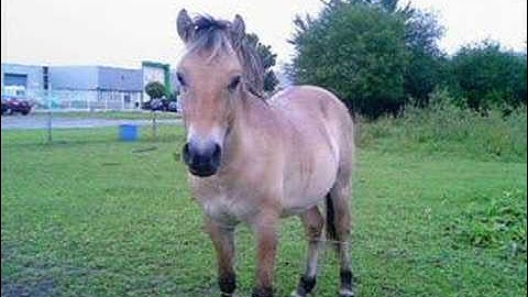 -- KZalJullieNooitVergeten --