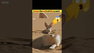 Mysterious desert animals that survive for years without water!#AnimalFacts#alizasehar #freerishta