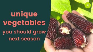 Unique and Rare Veggies You Can Grow