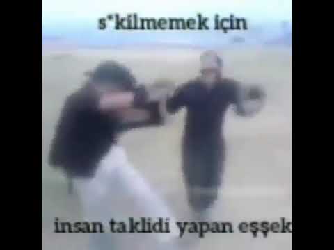 İnsan Taklidi Yapan Eşek