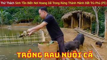 Sinh Tồn Trong Rừng Việt Nam Cùng Anh Trai Tự Trồng Rau, Nuôi Cá, Nuôi Lợn Để Duy Trì Sự Sống (P5)