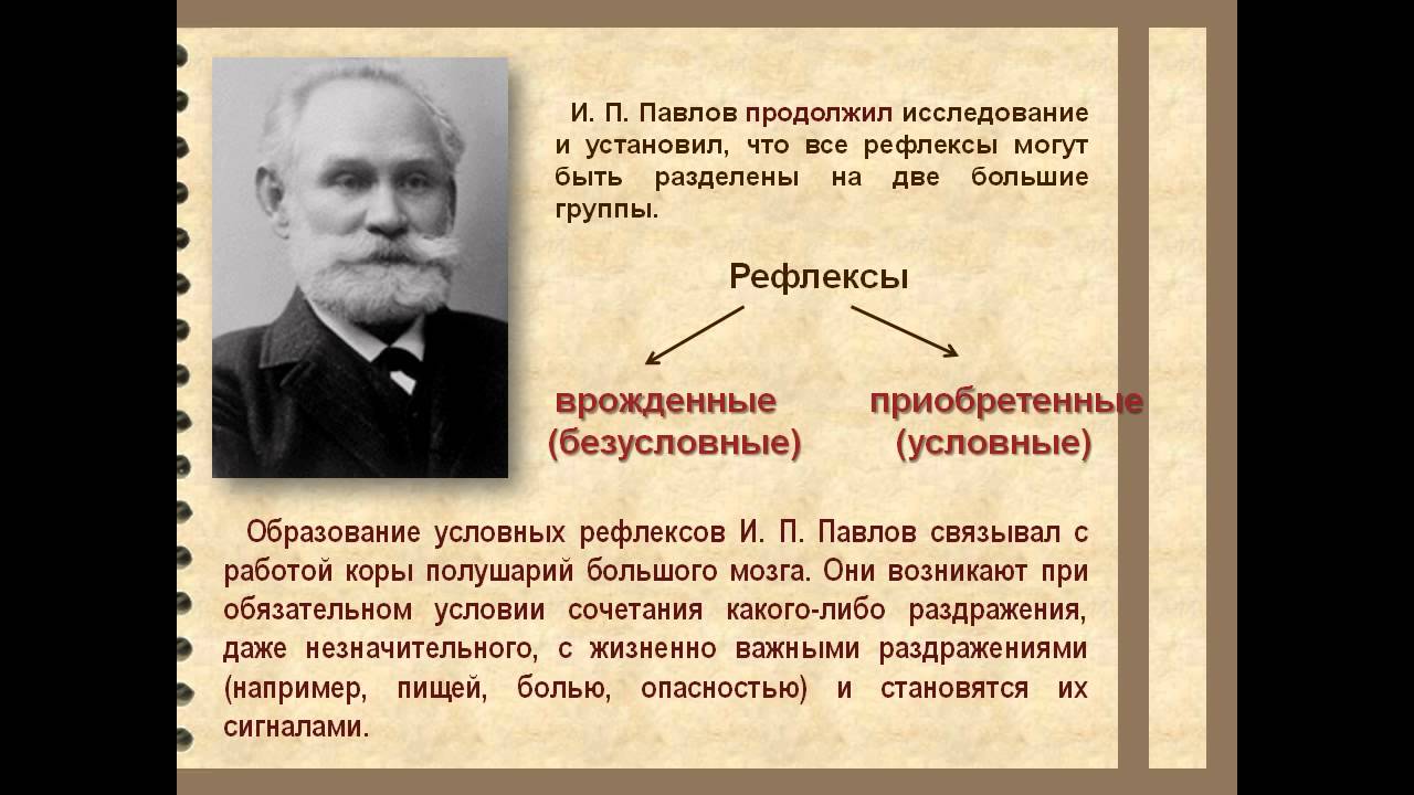 Вид деятельности ученого