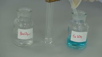 BACl2 va CuSO4