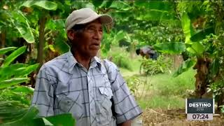 ¡Pueblos indígenas celebran el triunfo de AMLO! | Noticias con Francisco Zea