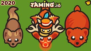 Taming.io in 2020.