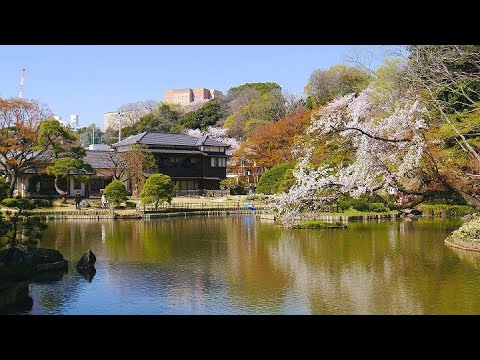 Higo Hosokawa Garden (肥後細川庭園) Tokyo