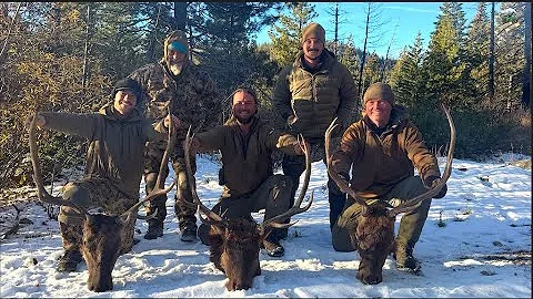 Idaho Elk Hunt 2025
