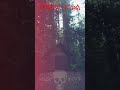 የጫካው ሆቴል አስፈሪ ታሪኮች Scary Stories የጫካው ሆቴል አስፈሪ ታሪኮች Scary Stories
