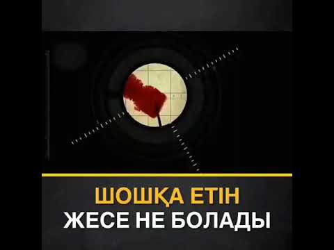 Бейне: Шошқа еті қосылған көкөніс бұқтырмасы