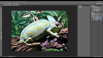5 Minute Photoshop - Layers