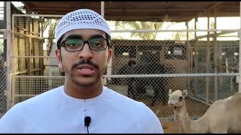 أَفَلَا يَنظُرُونَ إِلَى الْإِبِلِ كَيْفَ خُلِقَتْ | احمد بن عبدالغفور | سورة الغاشية  Ahmad Ag