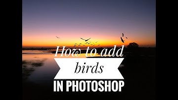 HOW TO ADD BIRDS TO PHOTOS IN PHOTOSHOP | SIMPLE METHOD | USING BRUSHES
