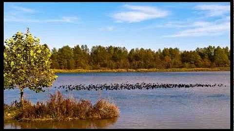 "My Sandy Ridge" Photo Slideshow by Keith Mattson