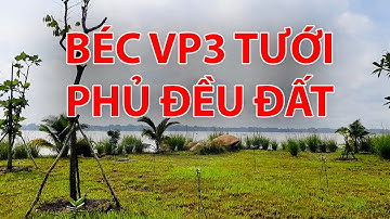 Dùng BÉC VP3 tưới cảnh quan, tưới đều đất có thực sự hiệu quả?
