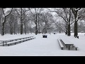 [4K] Toronto - High Park in Winter