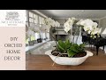 Stunning orchid arrangement  simple  low cost  tips for easy care diy