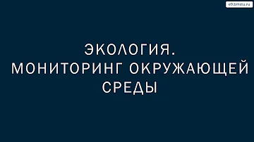 Какая служба осуществляет мониторинг окружающей среды