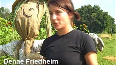 Michigan State University Student Organic Farm