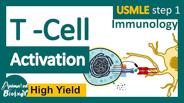 T cell  Activation | USMLE-Step1 revision playlist | Immunology