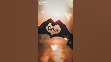 Mera bhai tu meri Jaan Hai status video    #Short #video