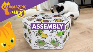 Cat Amazing HEX Assembly by CatAmazing 1,358 views 3 months ago 5 minutes, 38 seconds