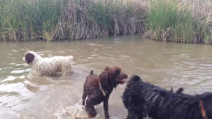 Pepa, Lola y Rufo