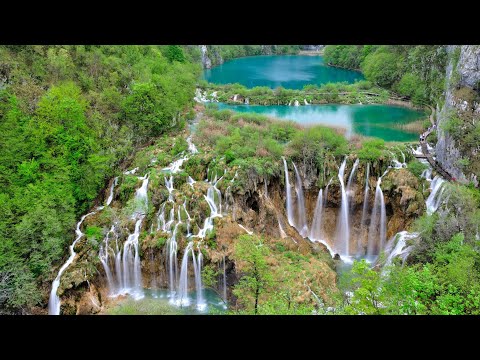 Video: 5 Georgia RV parkovi koje morate posjetiti