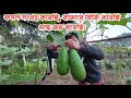 আজ ফসল সংগ্রহ করেছি, বাজারে পণ্য বিক্রি করেছি এবং পাশাপাশি প্রয়োজনীয় মাছ ক্রয় করেছি