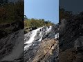 Beutiful view 🌳🌹#vishu n 11#short video#subscribe 🙏🏼