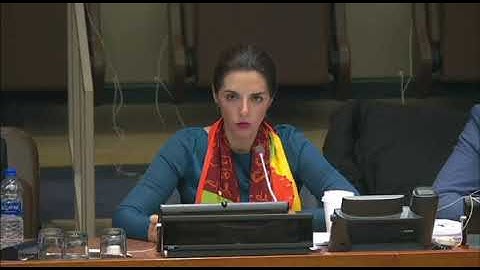 The Global Statistical Geospatial Framework (8 Mar 2019)