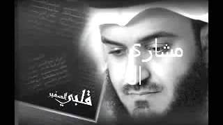 Download Lagu Masyari Rasyid - Qalbiy Shaghir MP3