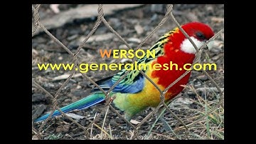 Generalmesh Inox X-tend Aviary Netting,Aviary Enclosures WEBNET Wire Mesh，Zoo Net