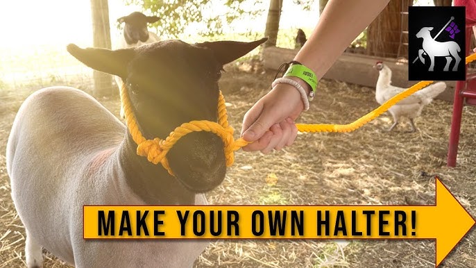 How to Tie a Mecate on a Bosal 