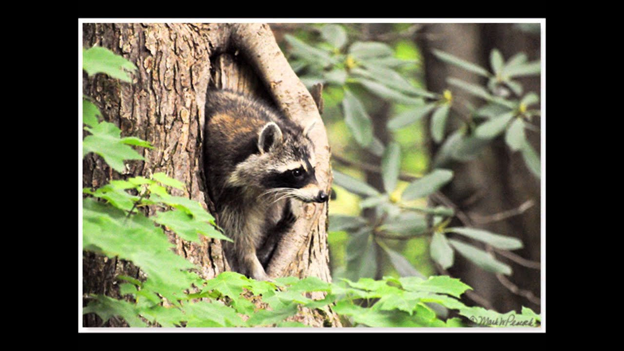 Fourth Inc - Trip To Jülich (Bervoets & De Goeij Remix) [HD]