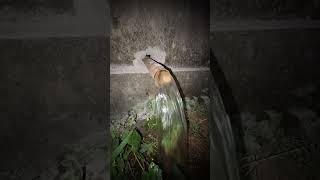 Iron Remover filter for garden