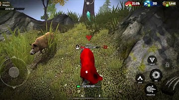 Wolf Tales - Home & Heart #67 - Android Gameplay