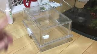 爬虫類ケージ（レプタイルボックス・レプティギア・グラスハーモニー）使用感の紹介