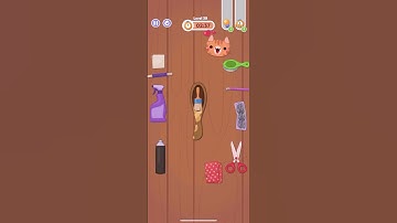 Tidy Master Level 39 Walkthrough