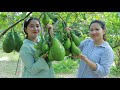 Picking Avocano At My Sister's Farm For Dessert