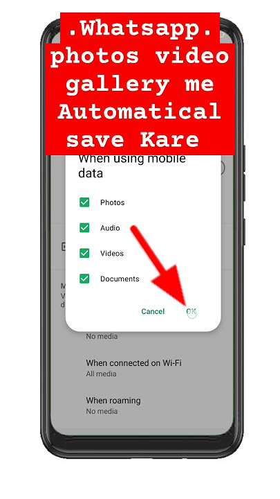 How to Automatically Download Images from WhatsApp WhatsApp photo gallery me kaise laye #whatsapp
