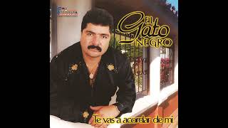 Video thumbnail of "El Gato Negro - Me Voy para Olvidarte"