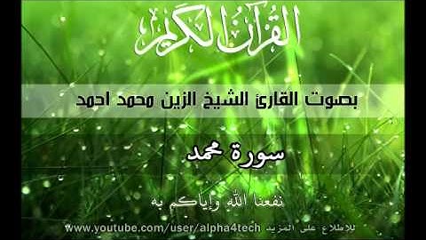 الشيخ الزين محمد احمد - سورة محمد Quran 47 Muhammad Alzain Mohamed