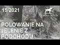 Sudecka Ostoja 15/2021. Polowanie na jelenie z podchodu.