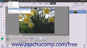 Photoshop Elements 13 Tutorial Image Size & Resolution Settings Adobe Training